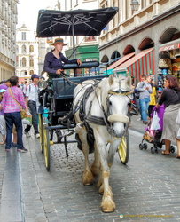 Horse and carriage ride down Rue de l'Etuve on a horse and carriage